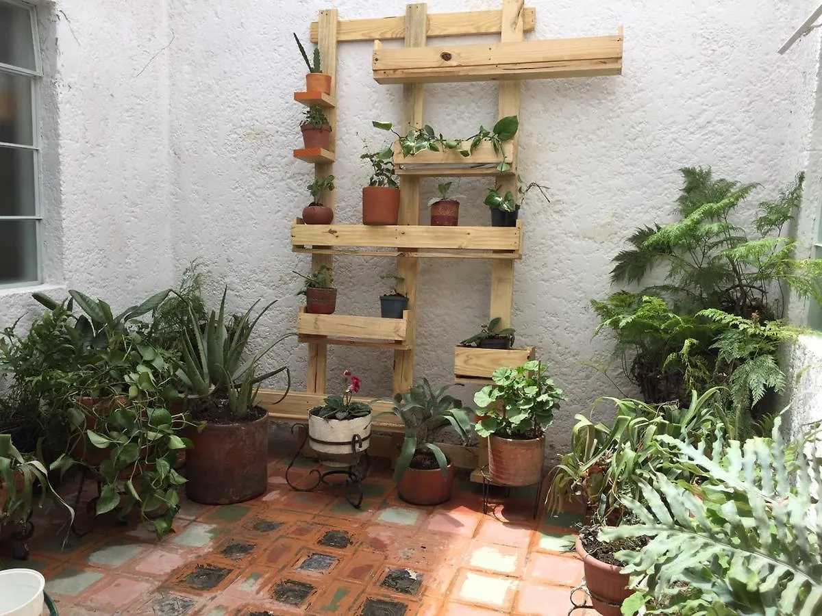 Amazonia Hostel Medellín