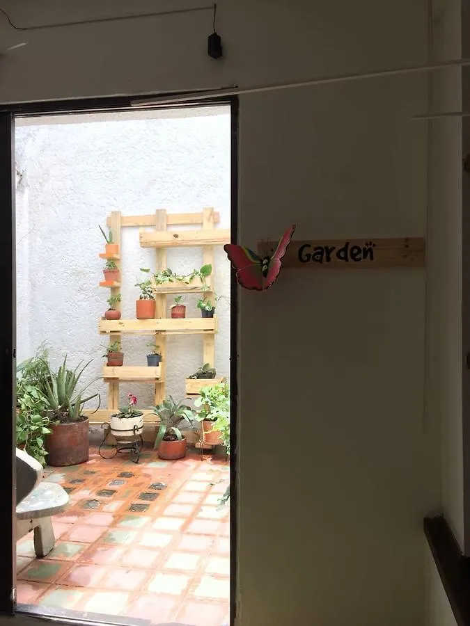 Amazonia Hostel Medellín
